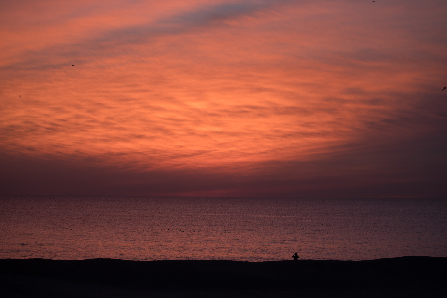 bradley beach artwork