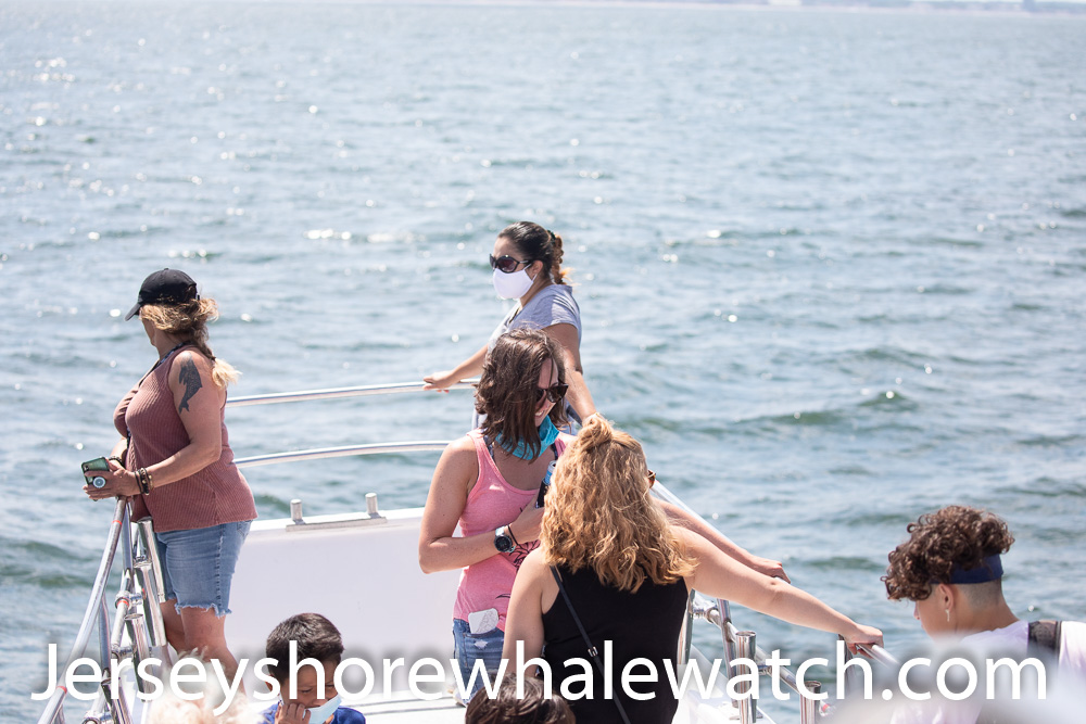 everyone enjoys a beautiful day on the ocean whale watching belmar marina